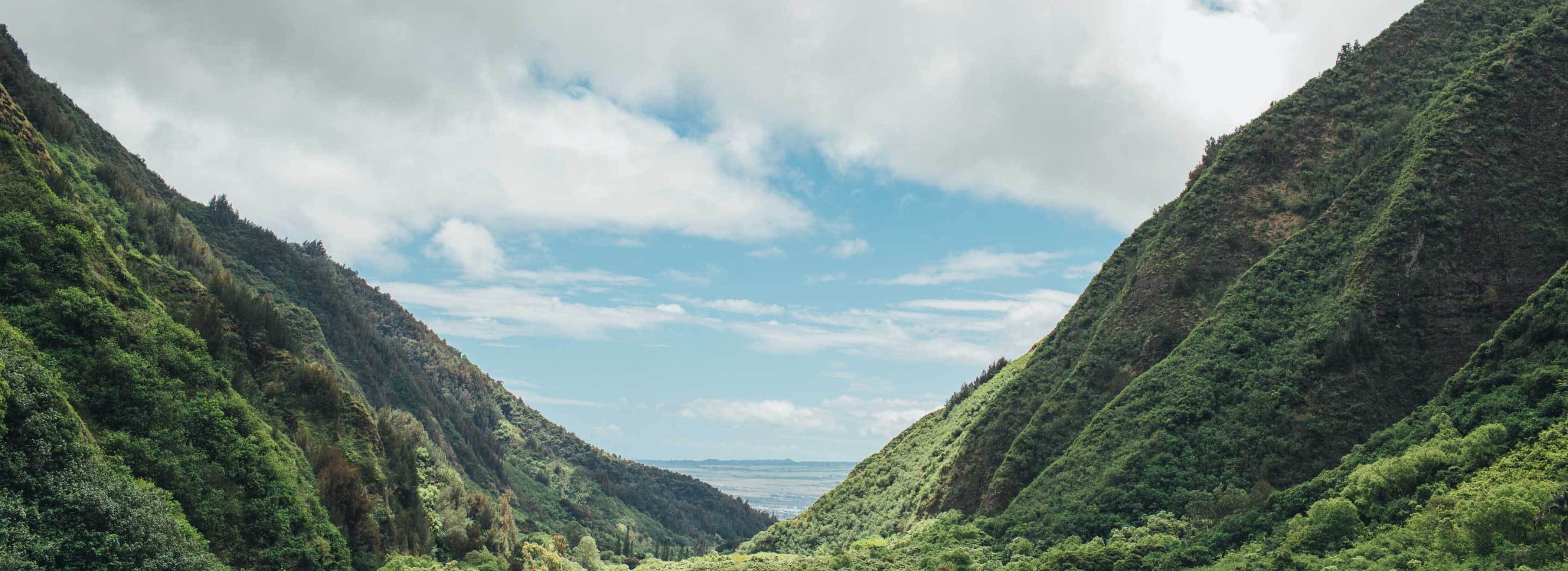Registration for the 6th Annual Ho'olaule'a is Now Open!