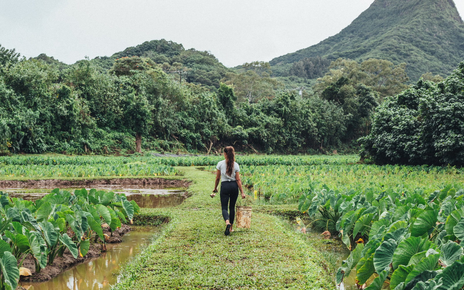 The 3 Most Commonly Asked Questions About OluKai